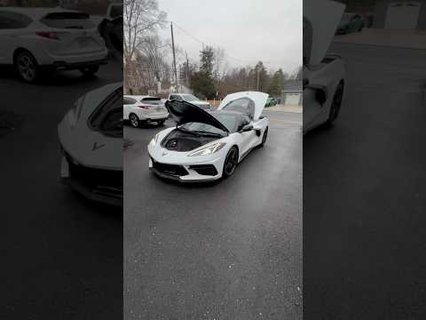 Taking the C8 Out After a Few Weeks of Sitting